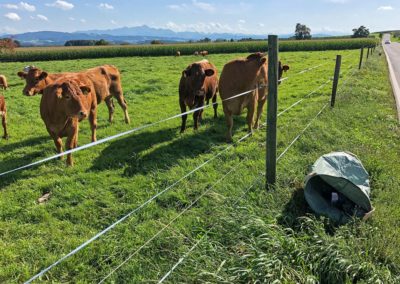 Peter Schenk_Politiker räumt auf (1)