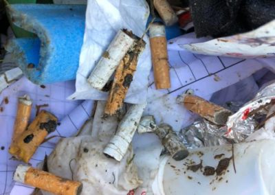 Peter Schenk_8.10.2019